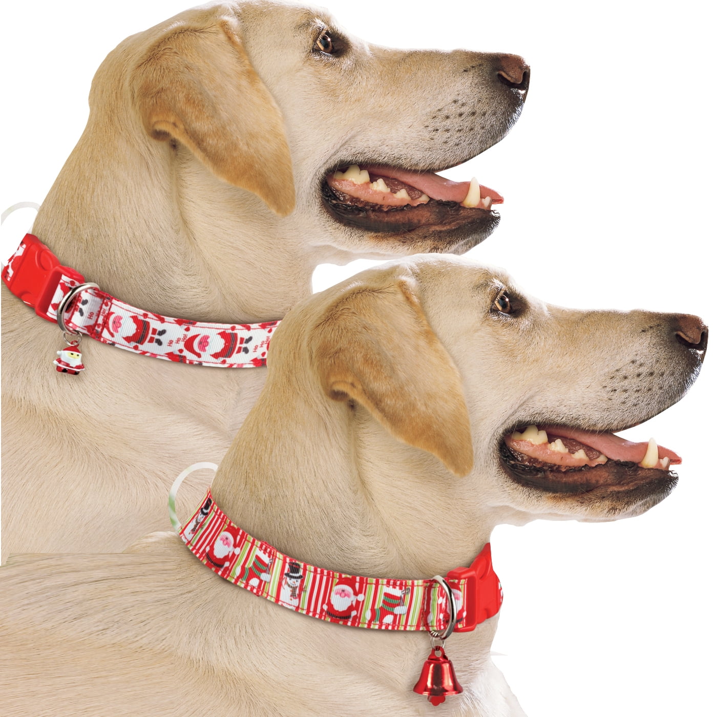 Christmas collars for large dogs Clearance