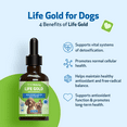 thumbnail image 4 of Pet Wellbeing Life Gold for Cats Natural Cancer Support for Felines, 4 of 8