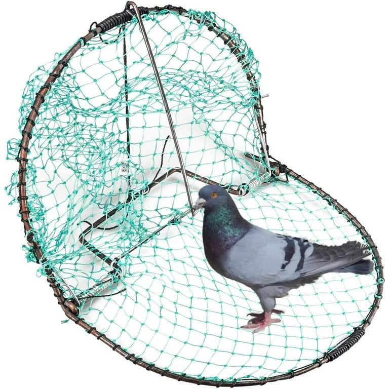 Pigeon Trap with Escape-Proof, Bird Trap Cage with One-Way Entry Portable  Unharmful, Iron with Anti-Rust Paint, Off White