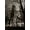 Unframed, variant on Art.com Chicago Water Tower BW Photographic Print by Steve Gadomski, 12" x 18"