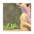 thumbnail image 1 of Meerkat in Reflection - Canvas, 1 of 10