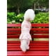 thumbnail image 3 of 1pc Pet Dog Cute Floral Overalls Jumpsuit With Double-Layer Design For Winter, 3 of 5