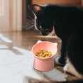 thumbnail image 5 of Fmbmuo Non-Slip Dog Bowls for Small Dogs Plastic Elevated Tilted Cat Bowls, Portable Easy to Clean Art Deco Pink Pet Bowls, Suitable for Small Medium Pet, 5 of 5