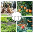 thumbnail image 5 of Anti Bird Bird-prevention Net Netting Mesh For Fruit Crop Plant Tree Garden 2cm Net Hole 5x15/20m Black Nylon Anti Bird Net Mesh, 5 of 5