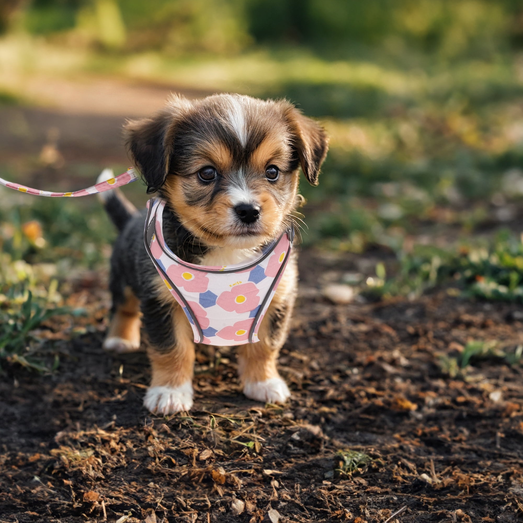 Unique Bargains Puppy Dog Harness and Leash Set with Reflective Strip Pink L