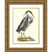 Selby, John 11x14 Gold Ornate Wood Framed with Double Matting Museum Art Print Titled - Great Blue Heron