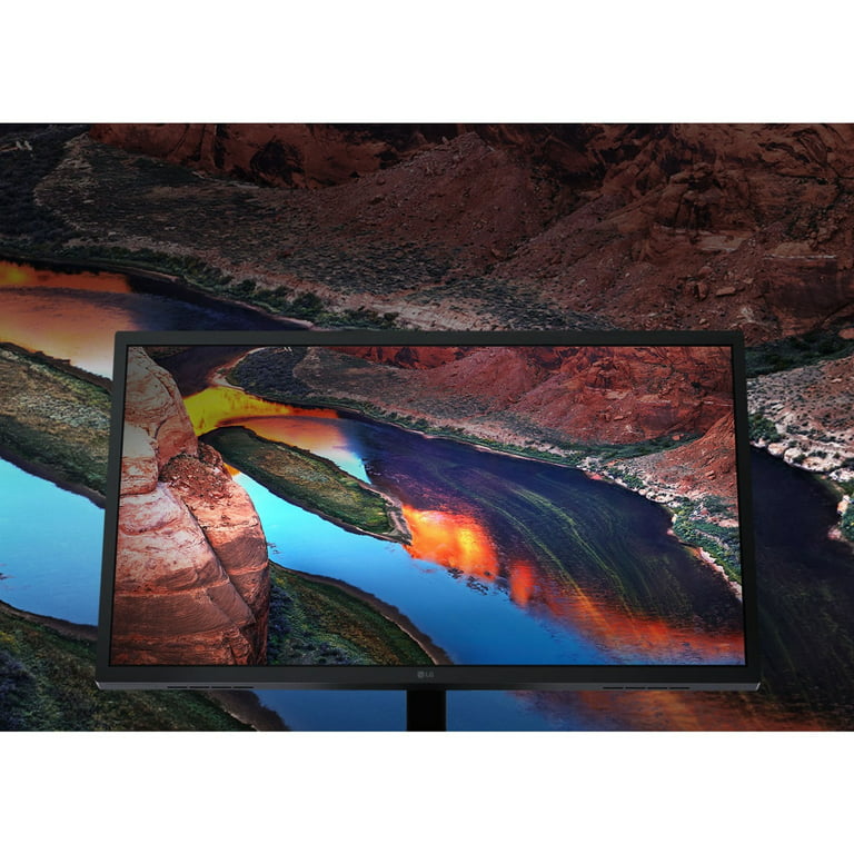 LG UltraFine 24 4K Monitor + Logitech StreamCam (1080p)