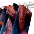 thumbnail image 5 of Starfish Waterproof Printed Shower Curtain Set with Hooks for Bathroom Decoration - Bathroom Curtains Included, 5 of 5