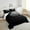 Blcak, variant on Erosebridal Parachute Bedding Twin Comforter Set, Extreme sports Down Comforter, Boys Adults, 2-Piece