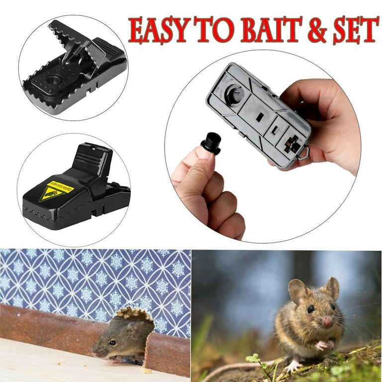 Small Mouse Trap, The Best Trap For Mice Outdoors And Indoors, Safe And  Reusable, 6 Pieces 