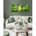 thumbnail image 5 of HFDF Forest Art Canvas Wall Decor: 3 Panel Nature Wall Art Landscape Paintings Trees Green Pictures Sunrise Scenery Wall Decor for Living Room Bedroom Office Bathroom 8x10inch Framed, 5 of 7