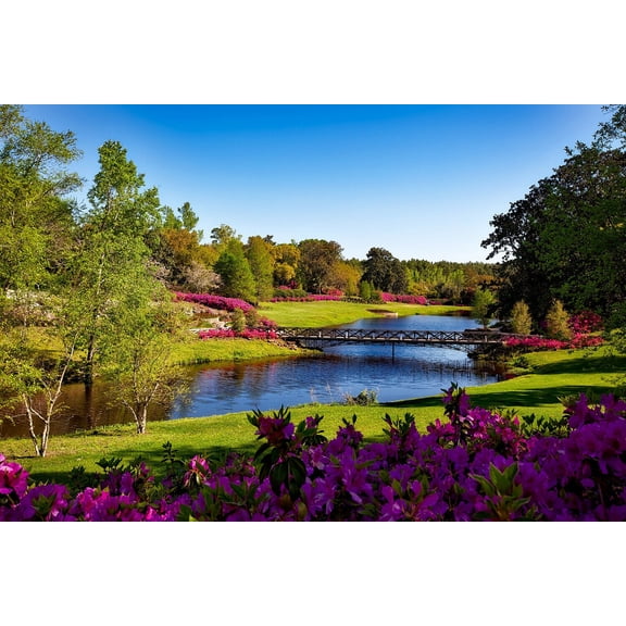 Spring Riverbank - Canvas OR Print Wall Art