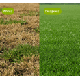 thumbnail image 4 of Kit Césped Verde - Nutrientes Escenciales Premium Para Jardin  - The Real Green, 4 of 6