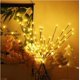 thumbnail image 1 of piezas de luces LED de rama, ramas de árbol de cristal púrpura con luz LED, 40 luces LED nocturnas para Navidad, bricolaje, vacaciones, fiesta y decoración del hogar, 1 of 4