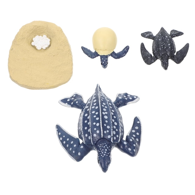 MasteelfCA 1 Set Leatherback Turtle Growth Cycle Models Early Learning Models Fake Turtles Figurines