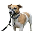 thumbnail image 2 of Halti Headcollar, Noir, Taille 1, 2 of 5