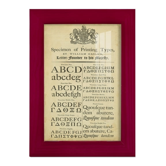 Encyclopediae VI -Framed Print w/glass-Cherry Red