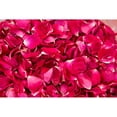 thumbnail image 3 of Millet, Karyn 14x11 Black Modern Framed Museum Art Print Titled - Pink Petals IV, 3 of 5