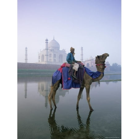 Camel and Rider in Front of the Taj Mahal and Yamuna River, Taj Mahal, Uttar Pradesh State, India Print Wall Art By Gavin (Best Helmets In India)