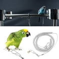 thumbnail image 4 of Cuerda de entrenamiento para vuelo de pájaros, cuerda de entrenamiento antipájaros de 6 m, juguetes para pájaros fieles a su promesa, 4 of 8