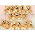 thumbnail image 4 of Osos de peluche Morismos Bulk, 14 paquetes de peluches de 35 cm, 4 of 6