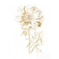 thumbnail image 2 of Gilded Botanical VIII Poster Print by Wild  Portfolio, 2 of 2