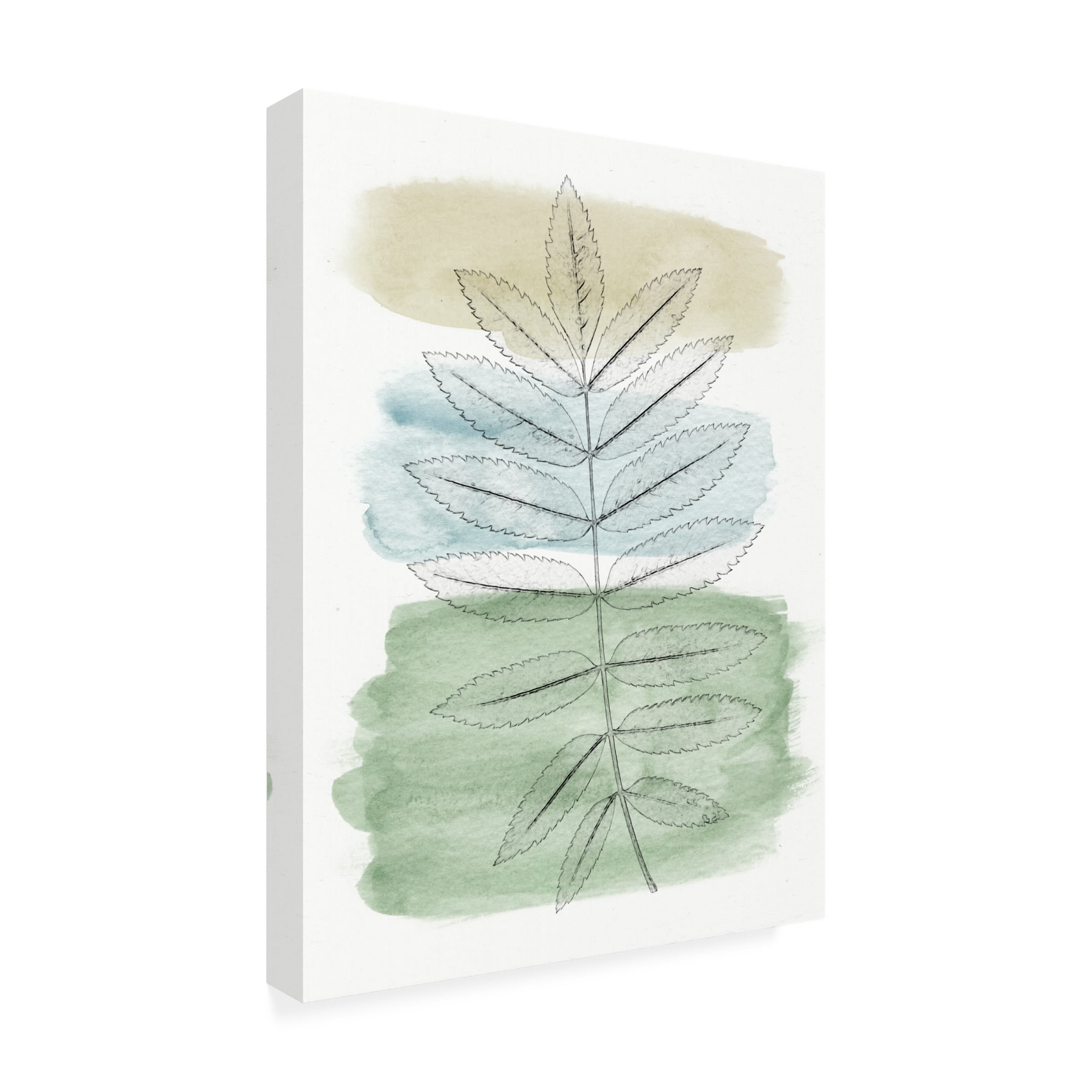 Alonzo Saunders 'Spring Branch II' Canvas Art