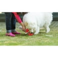 thumbnail image 4 of On-The-Go Pet Water & Food Bottle, 4 of 4