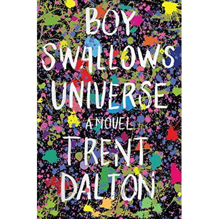 Pre-Owned Boy Swallows Universe (Hardcover) 0062898108 9780062898104