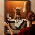 thumbnail image 6 of Brussels Griffon Dog Canvas Wall Art for Bedroom Living Room Home Decor,Funny Dog Canvas Sitting on The Toilet Animal Pattern Office Artworks, modern wall decor, Ready to Hang, 6 of 6