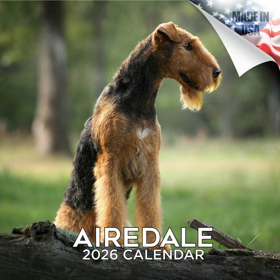 2025 2026 Airedale Calendar - Dog Breed Monthly Wall Calendar - 12 x 24 Open - Thick No-Bleed Paper - Giftable - Academic Teacher's Planner Calendar Organizing & Planning - Made in USA