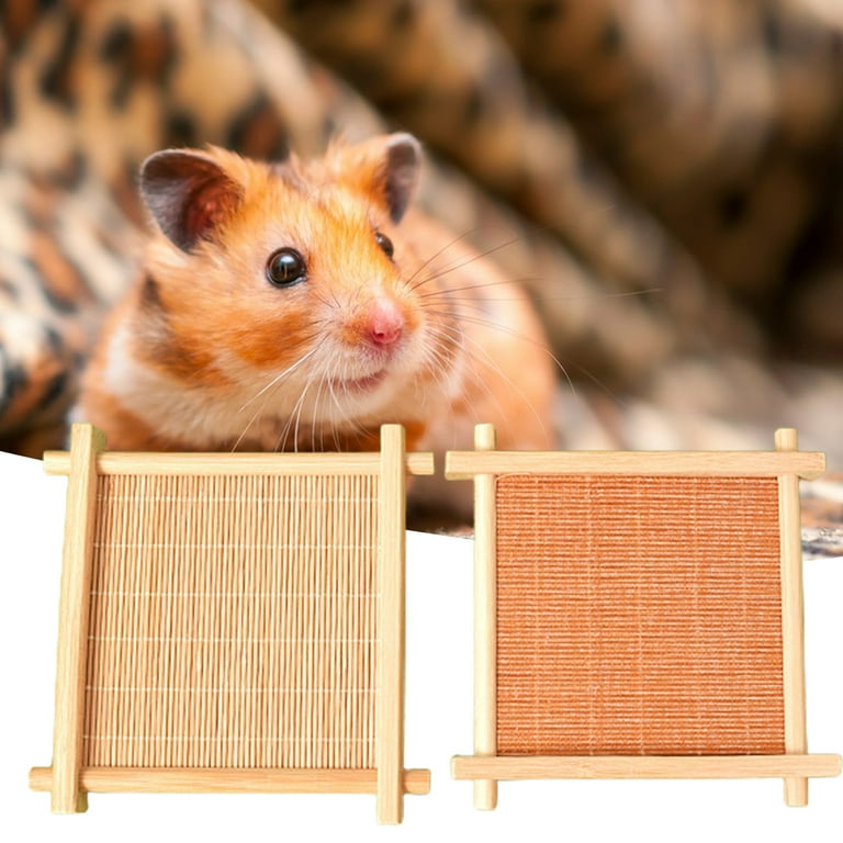 Terrarium for cheap hamster