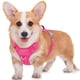thumbnail image 1 of Arnés para perros BARKBAY No Pull Air Mesh Reflectante, Grande, Rosa, 1 of 9