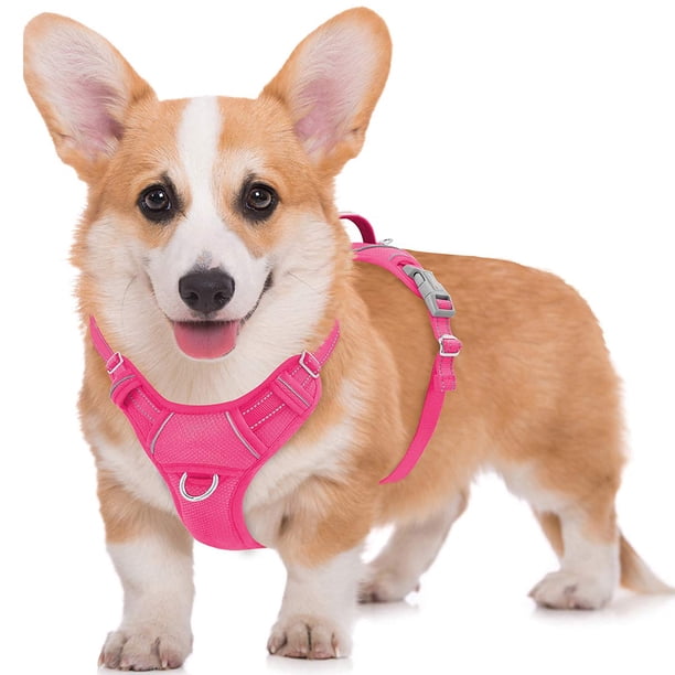 Arnés para perros BARKBAY No Pull Air Mesh Reflectante, Grande, Rosa