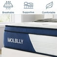 Queen Mattress 12" Molblly Medium Plush Innerspring Mattress Hybrid