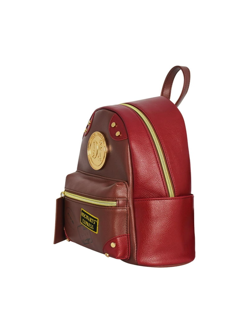dicks the north face backpack The North Face Surge Backpack