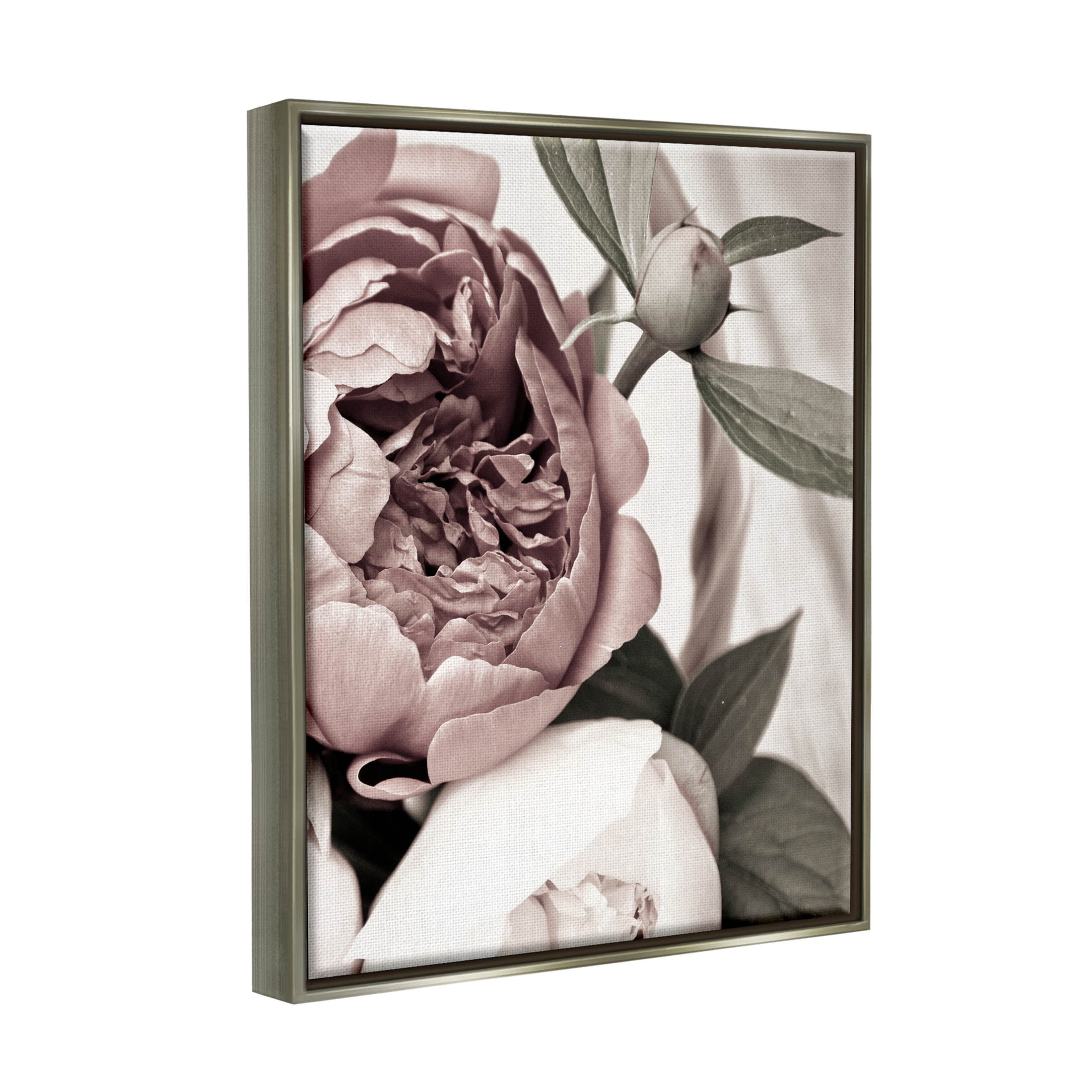 Blooming Peony Flower Buds Botanical & Floral Photograph Luster Gray Framed Art Print Wall Art