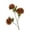 G, variant on Artificial Chrysanthemums Heads Ball Flowers,Silk Chrysanthemum Ball Bouquet White Bouquets Hydrangea for Home Office Coffee House Parties and Wedding