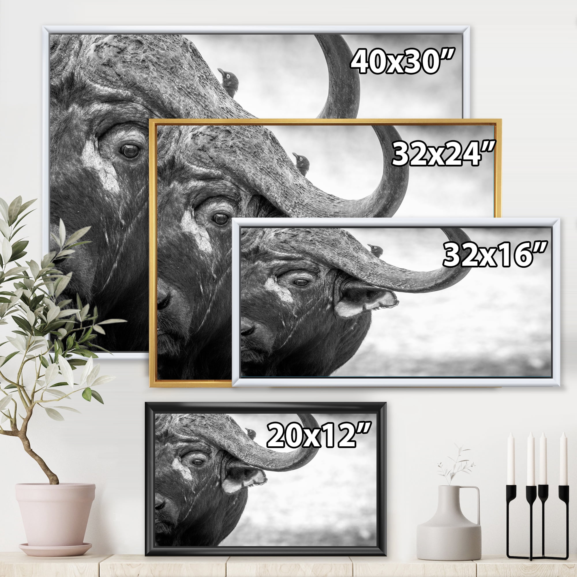 Black and White Portrait Of Buffalo III 40 in x 30 in Framed Photography Canvas Art Print, by Designart