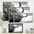 thumbnail image 4 of Black and White Portrait Of Buffalo III 40 in x 30 in Framed Photography Canvas Art Print, by Designart, 4 of 5