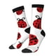 thumbnail image 1 of Balery Fly Flying Ladybug Calcetas Largas con Estampado para Hombre y Mujer – Suaves y Transpirables, Talla Única (US 5-11), 1 of 6