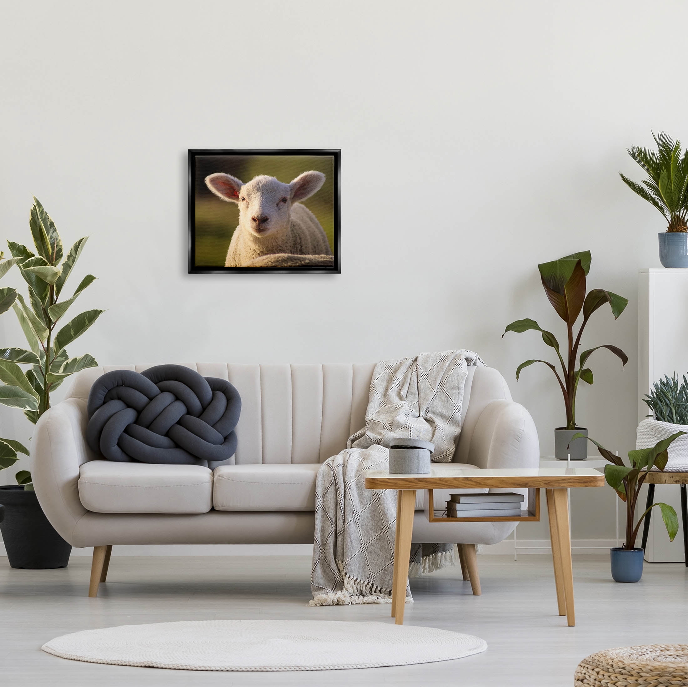 Stupell Industries Gazing Farm Sheep Photograph Photograph Jet Black Floating Framed Canvas Print Wall Art, Design by Daphne Polselli