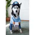 thumbnail image 4 of Disfraz de portador de correo para perros USPS, divertido mensajero transformado en mascota, perro, gato, perro mediano y grande, suministros de decoración para el día de Halloween, ropa (1 paquete, S, 4 of 5
