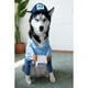 thumbnail image 4 of Disfraz de portador de correo para perros USPS, divertido mensajero transformado en mascota, perro, gato, perro mediano y grande, suministros de decoración para el día de Halloween, ropa (1 paquete, L) JM, 4 of 5