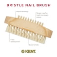 thumbnail image 4 of Cepillo de uñas Kent NB3 Natural Bristle Beechwood 10x4x3 cm, 4 of 8