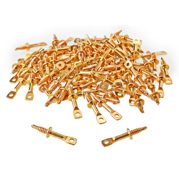 ToolPro 1/4 in. x 2 in. Self-Tapping Eye Lag Screws, 100-Pack