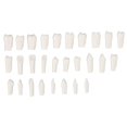 thumbnail image 2 of 28Pcs Removable Teeth Piece Durable Plastic Removable Design False Teeth for Typodont Teaching Study--, 2 of 5