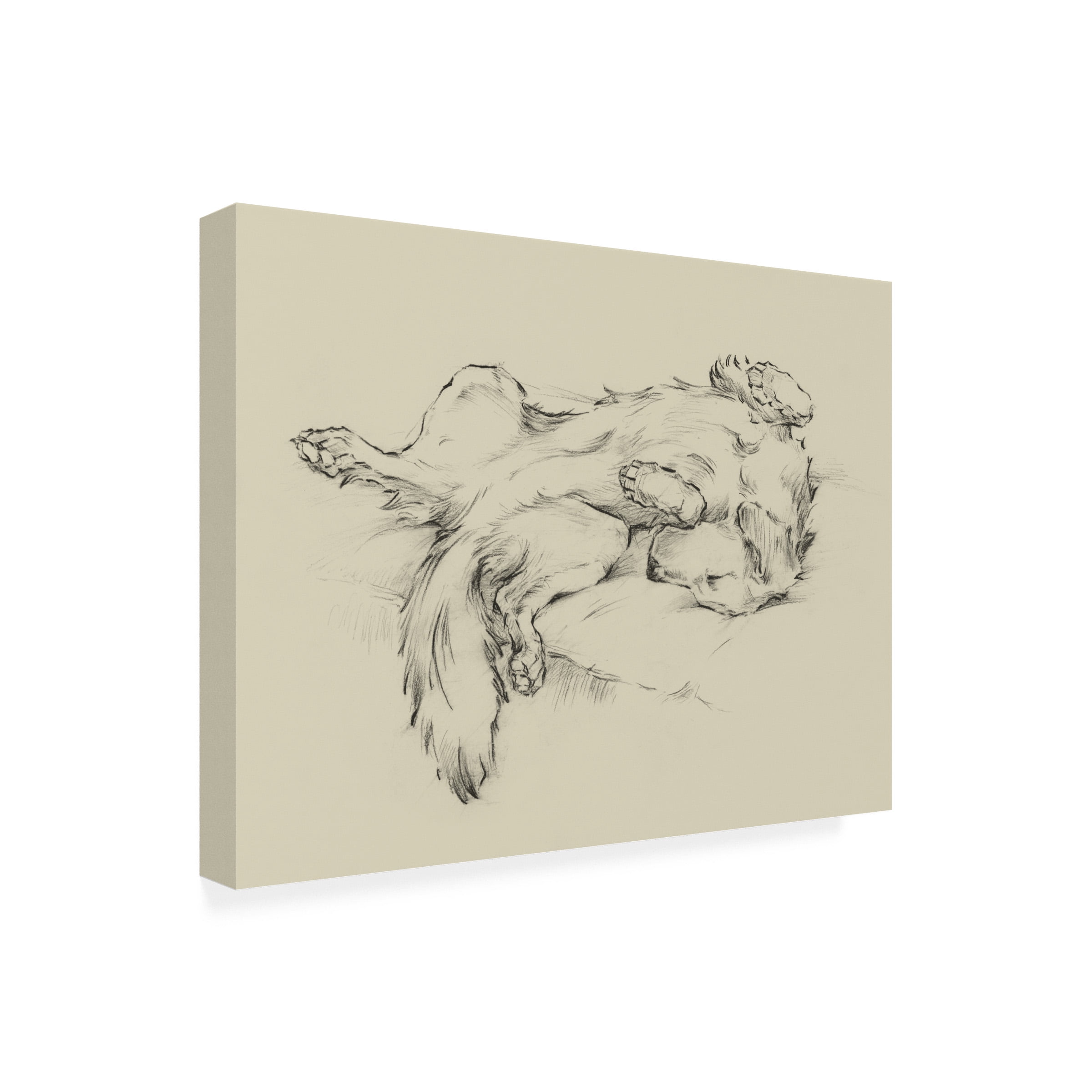 Ethan Harper 'Dog Tired II' Canvas Art