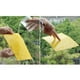 thumbnail image 2 of 10 trampas adhesivas de doble cara para insectos voladores, mosquitos y pulgones. Amarillo, 2 of 9