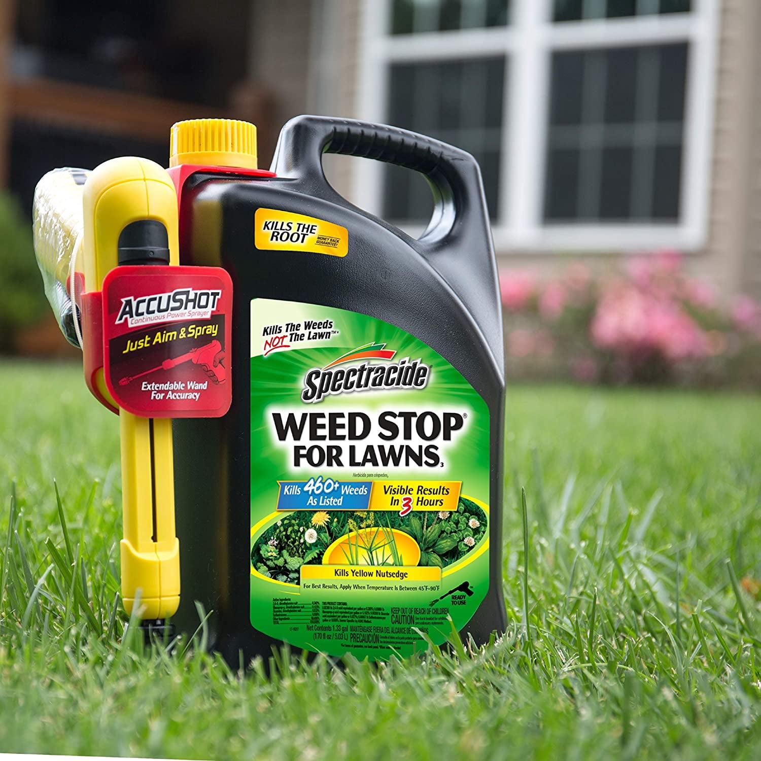 Spectricide HG-96544 Weed Stop, Ready-to-Use, 1.33-Gallon With Accushot Sprayer - Quantity 1